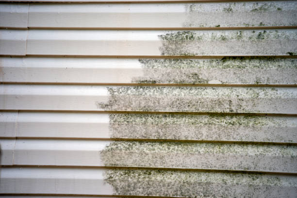 Best Brick Veneer Siding  in Hobart, WA